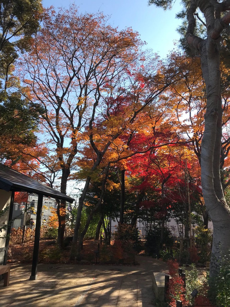 松原 公園ランキングTOP3