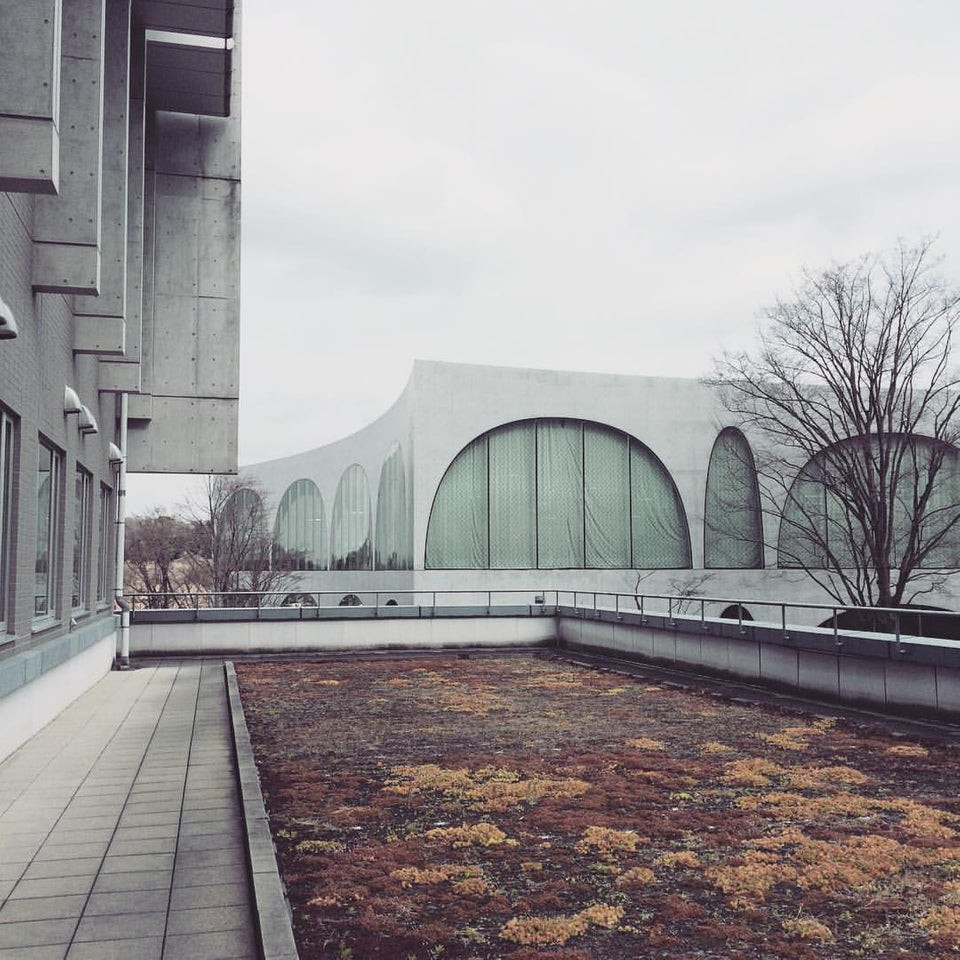 Tama Art University (多摩美術大学 八王子キャンパス) - メイン写真: