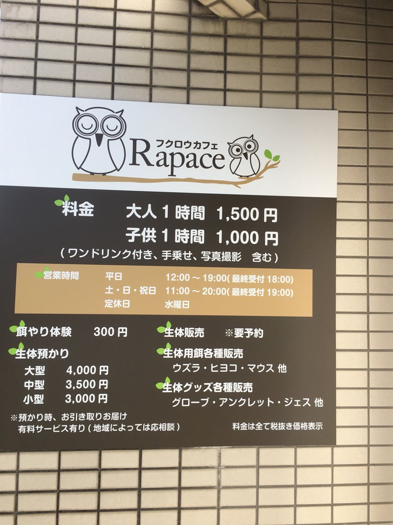 フクロウカフェ Rapace - メイン写真: