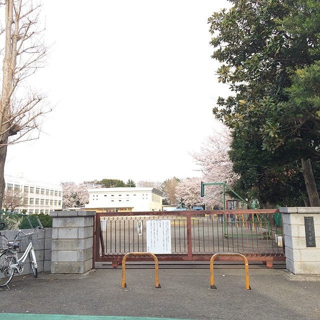 大和市立 深見小学校 - メイン写真: