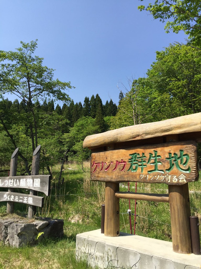 ちくさ高原湿性植物園 - メイン写真: