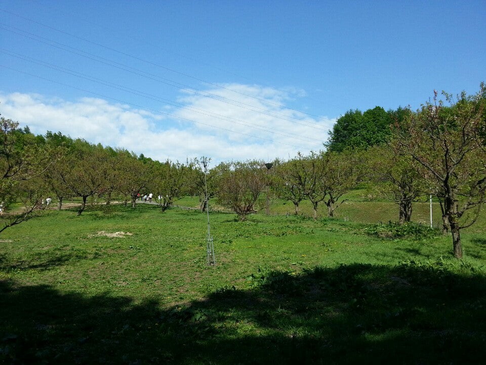 平岡公園 第一駐車場 - メイン写真: