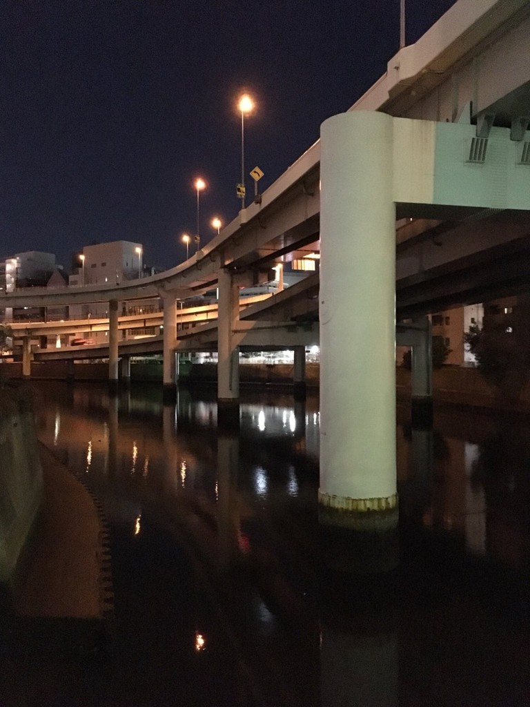 Yoroi Bridge (鎧橋) - メイン写真: