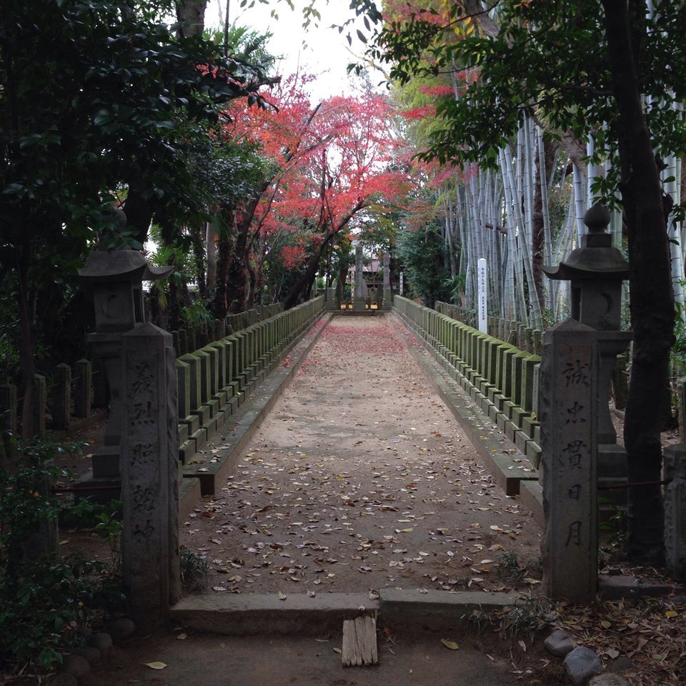 桜山神社 - メイン写真: