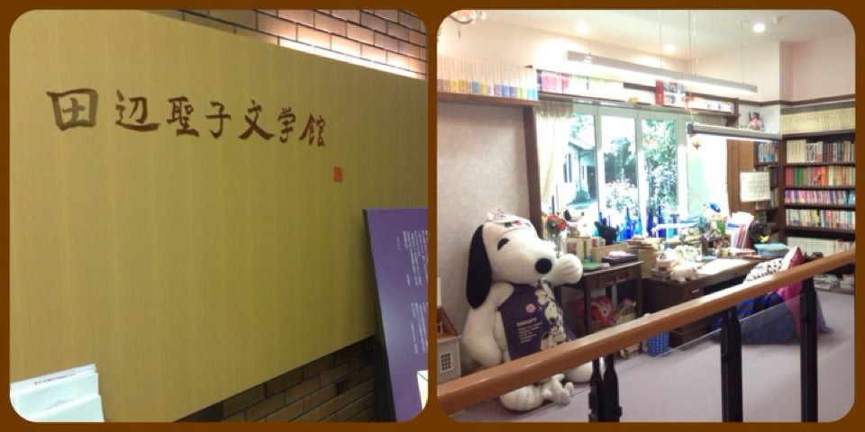 大阪樟蔭女子大学図書館 - メイン写真: