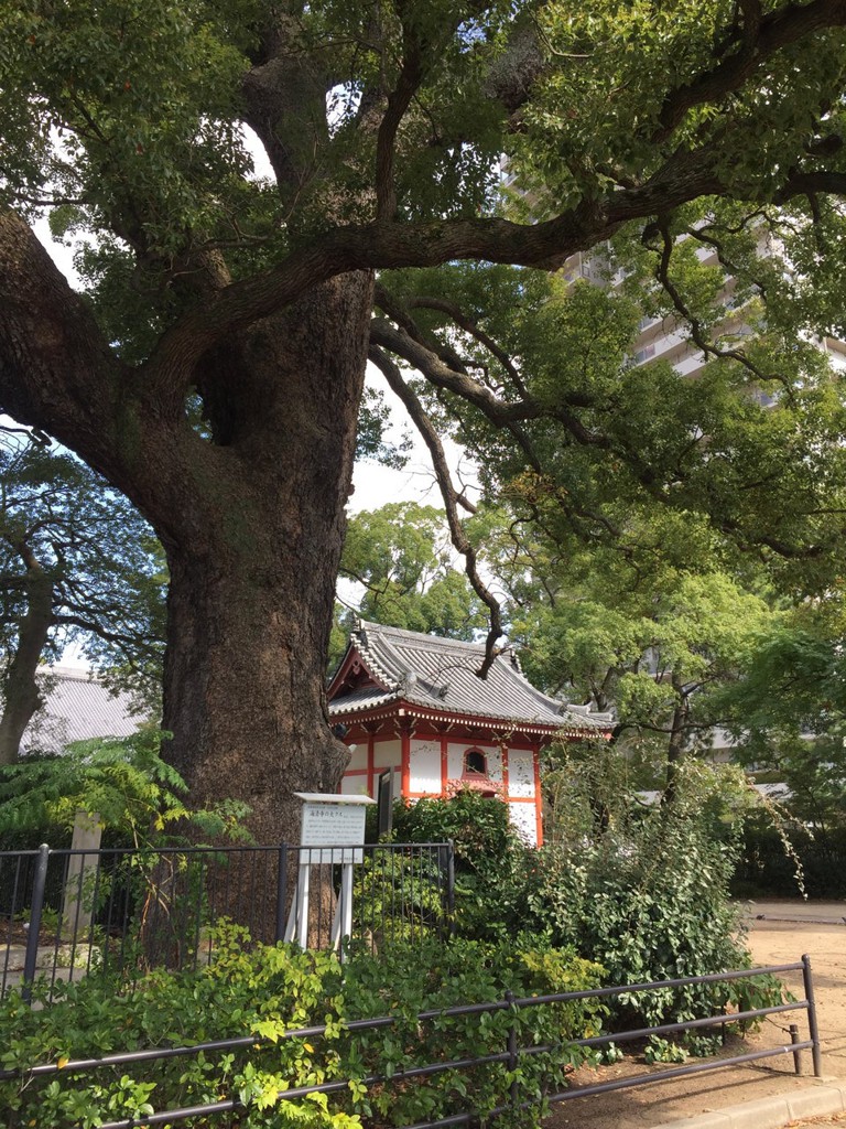 海清禅寺 - メイン写真: