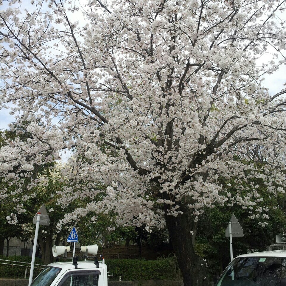 つきみ野1号公園 - メイン写真: