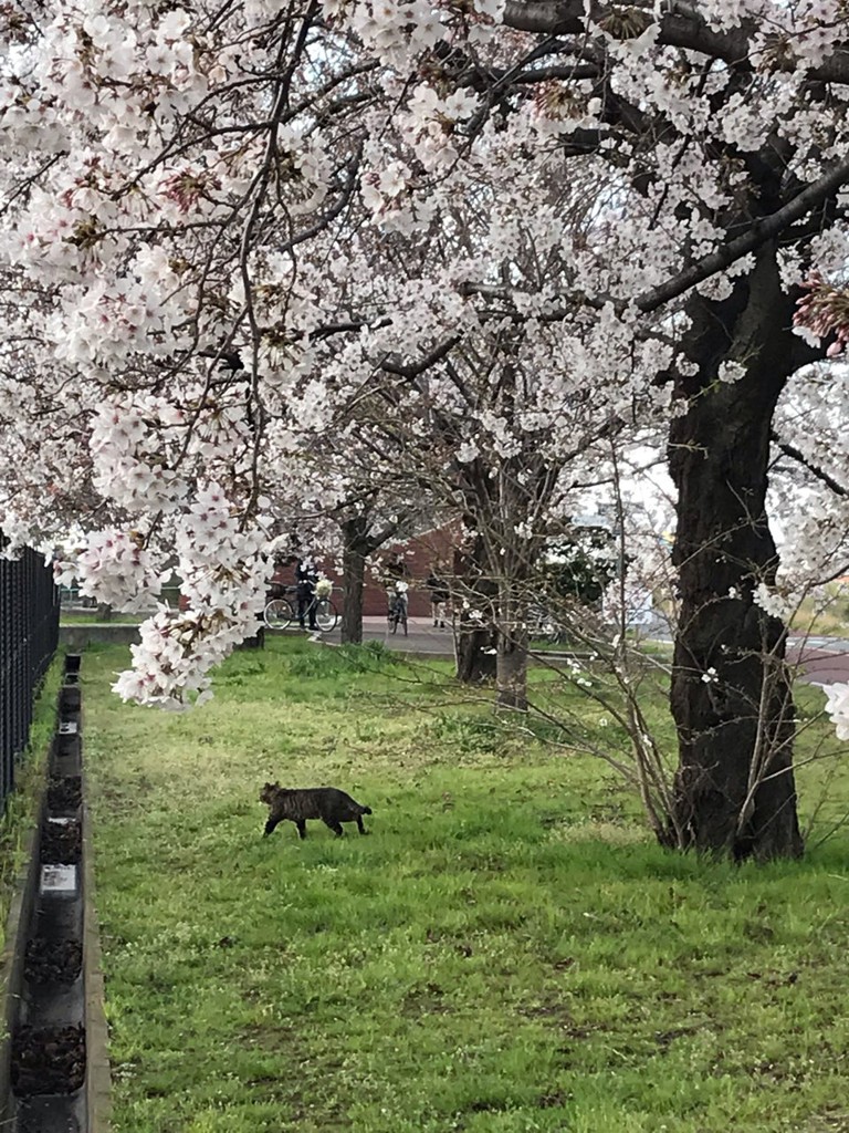 宮城ゆうゆう公園 - メイン写真: