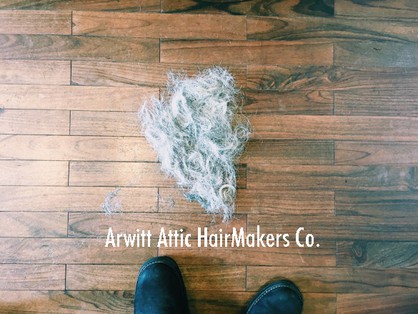 Arwitt Attic - メイン写真: