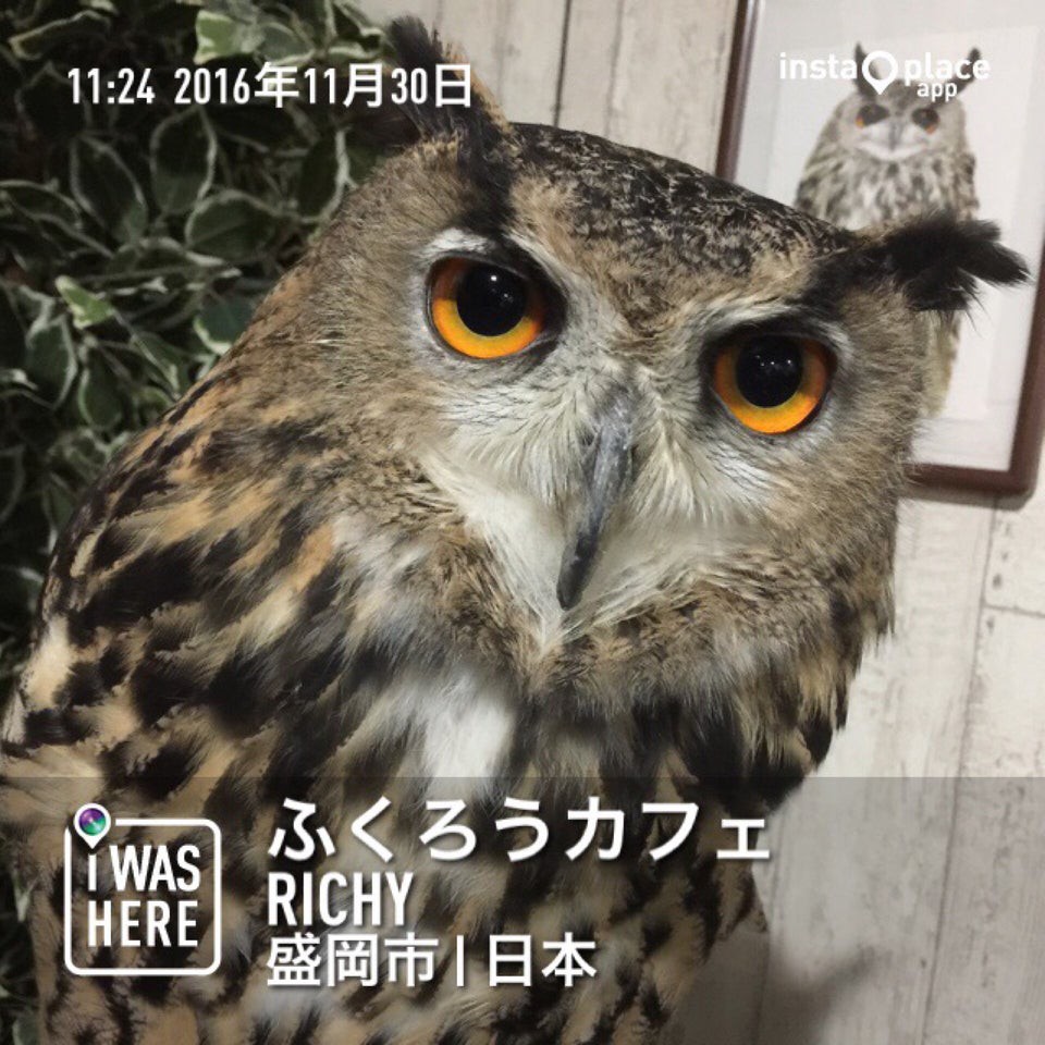 岩手県 動物園ランキングTOP3