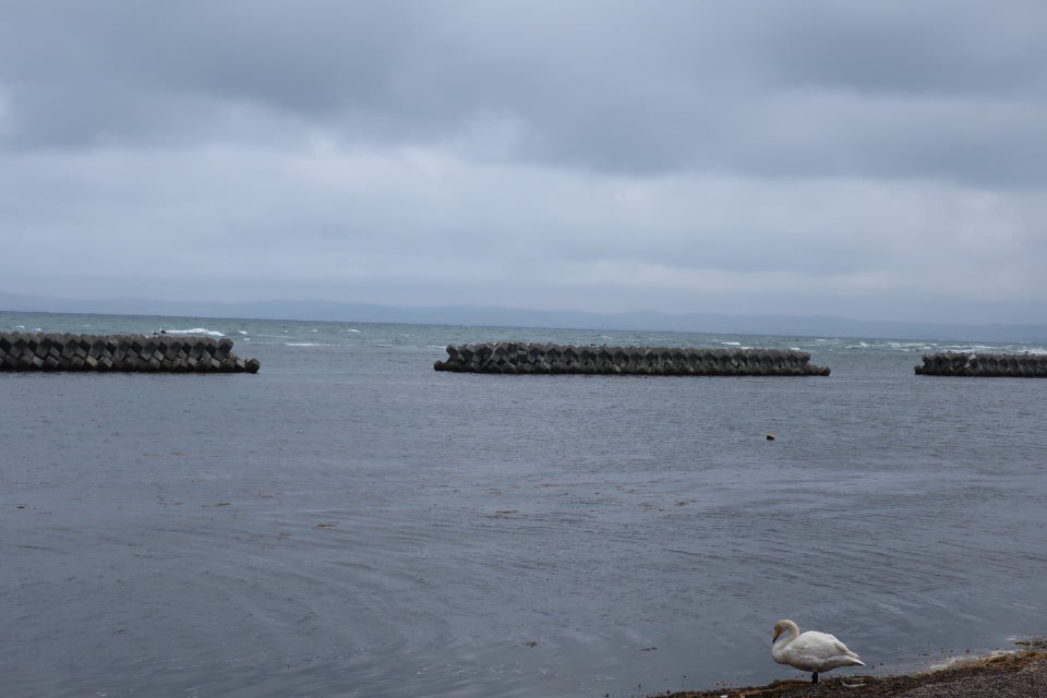 前浜 - メイン写真: