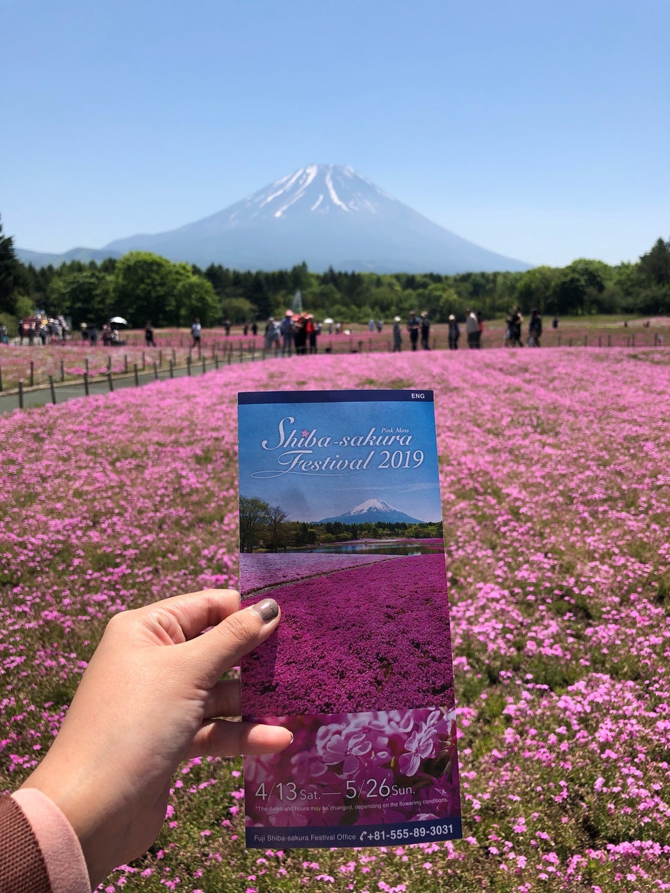 Fuji Shiba-Sakura Festival - メイン写真: