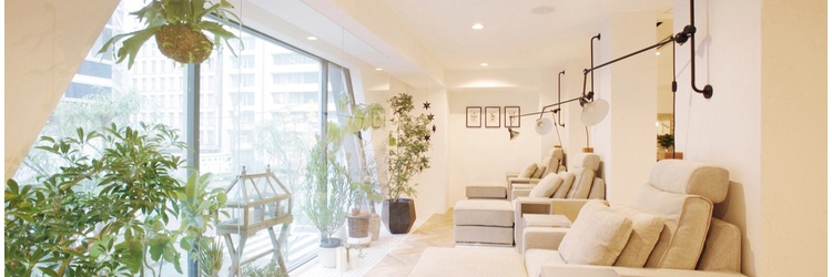 Chestnuts Nail Eyelash 銀座 チェスナッツ ネイルアンドアイラッシュ