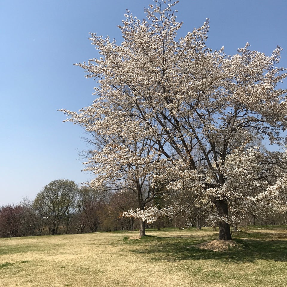 樺山遺跡 - メイン写真: