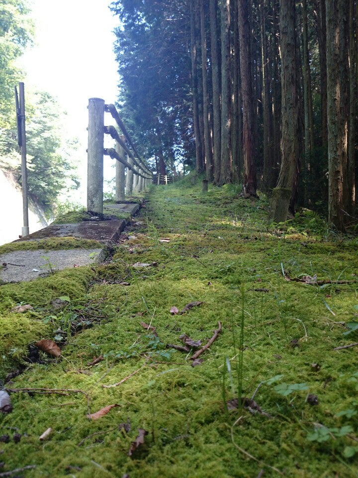 杉坂史跡 - メイン写真: