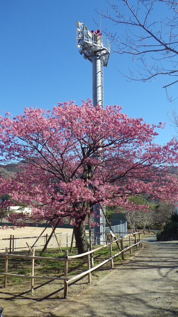 伊豆市役所　丸山スポーツ公園管理事務所 - メイン写真: