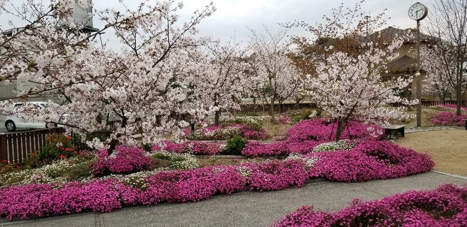 なかのちょう公園 - メイン写真: