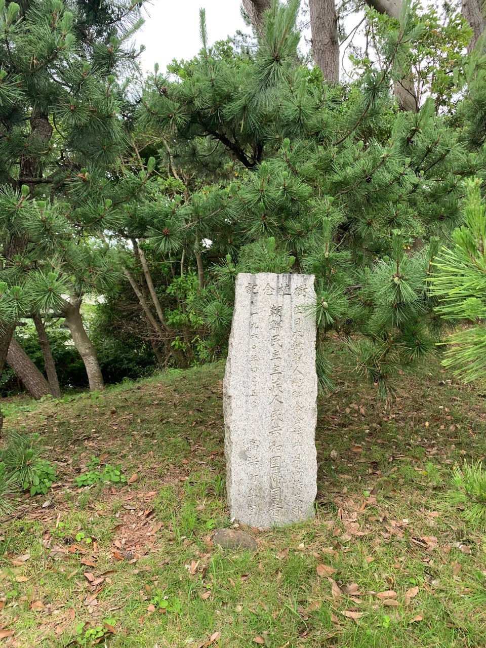 在日本朝鮮人総連合会福井県高浜支部　記念植樹 - メイン写真: