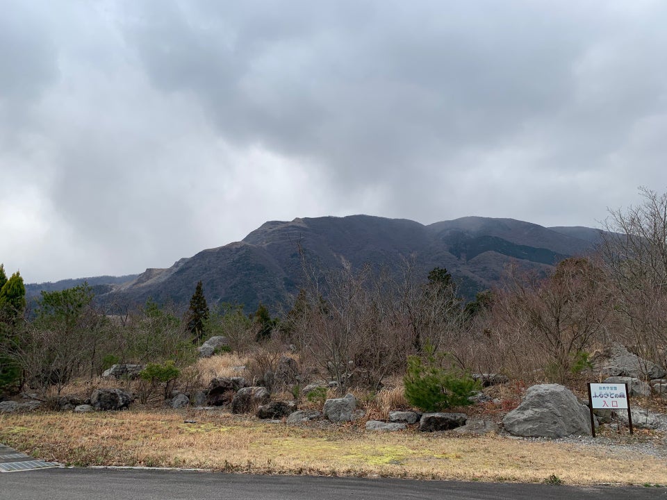 自然学習園 ふるさとの森 - メイン写真: