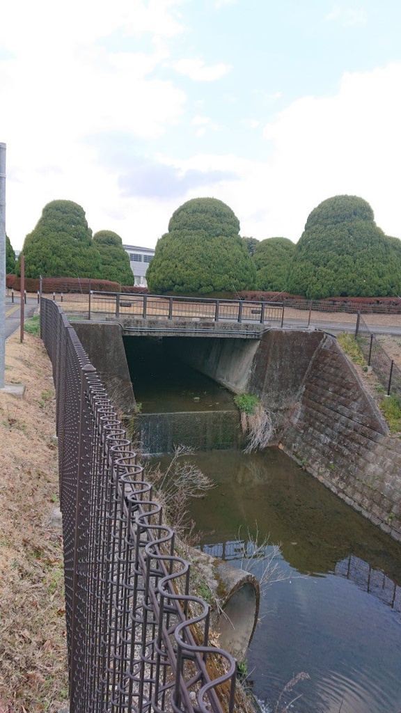 中央橋 - メイン写真: