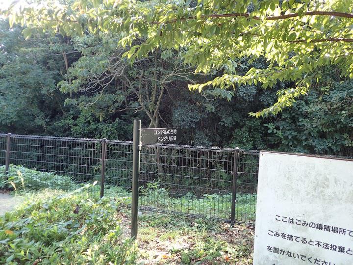 徳島市総合動植物公園 エントランスゾーン駐車場 - メイン写真: