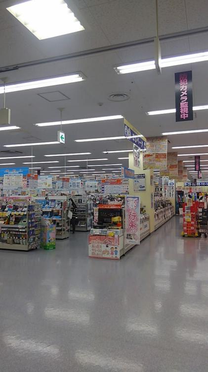 ヤマダ電機 テックランドNew江東新砂店 - メイン写真: