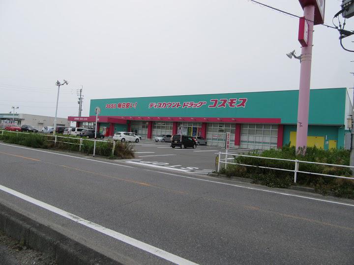 熊本县 药店TOP10排名