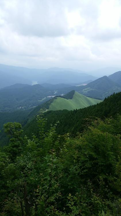 御杖村 遊庵 - メイン写真: