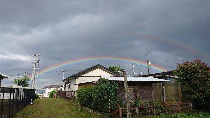 大久保緑地 - メイン写真: