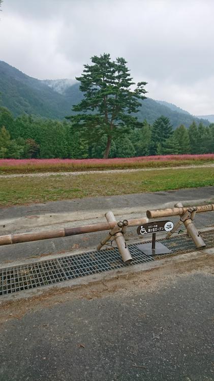 ルビーの里駒ヶ岳ガーデン - メイン写真: