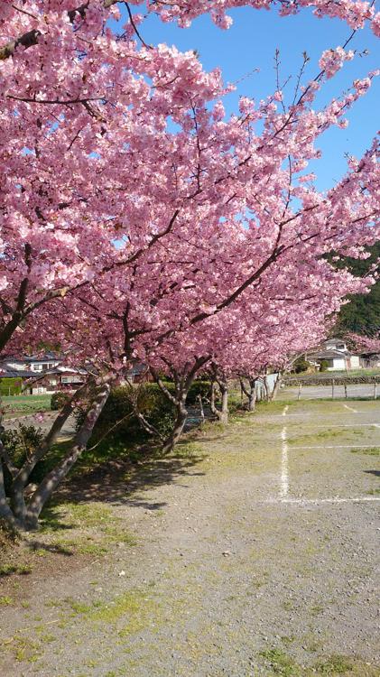 鹿島市役所 林業体育館 - メイン写真: