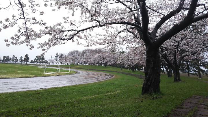 浪岡総合公園浪岡庭球場 - メイン写真: