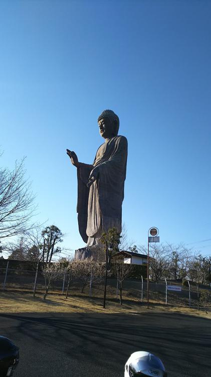 ふれあいの杜公園 - メイン写真: