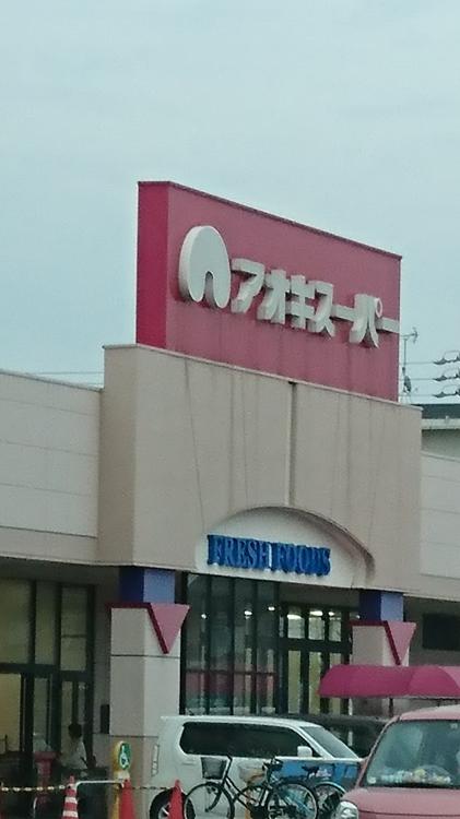 アオキスーパー ニッケタウン稲沢店 - メイン写真: