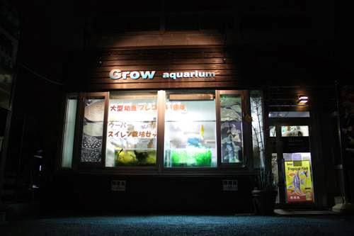 Grow aquarium - メイン写真: