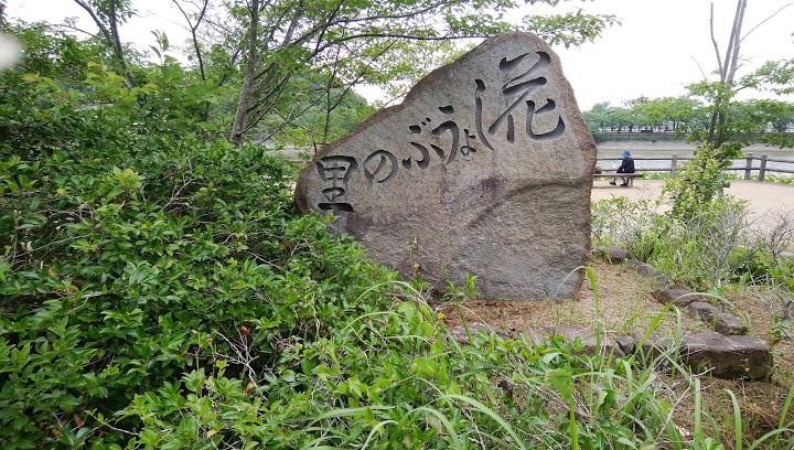 花しょうぶの里 - メイン写真: