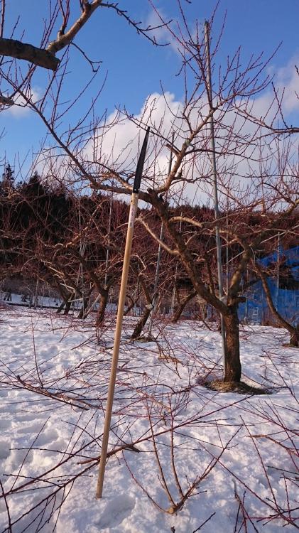 古町温泉 - メイン写真: