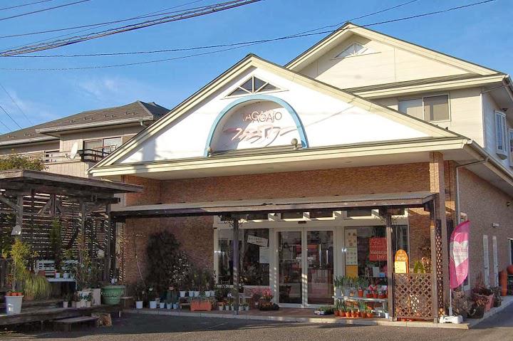 多賀城フラワー 本店 - メイン写真: