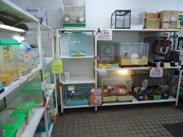 ペットハウス・プーキーＤＣＭダイキ　川島店 - メイン写真: