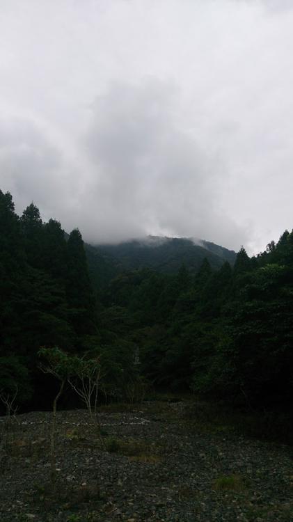 椿渓谷キャンプ場 - メイン写真: