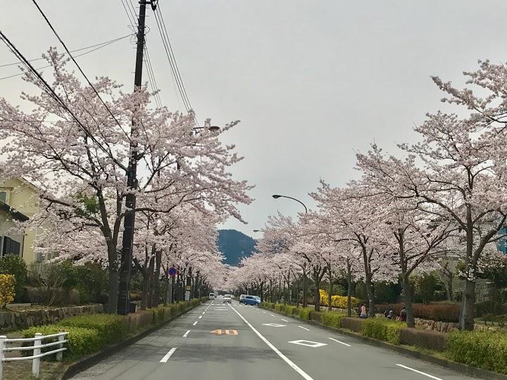 けやき公園 - メイン写真: