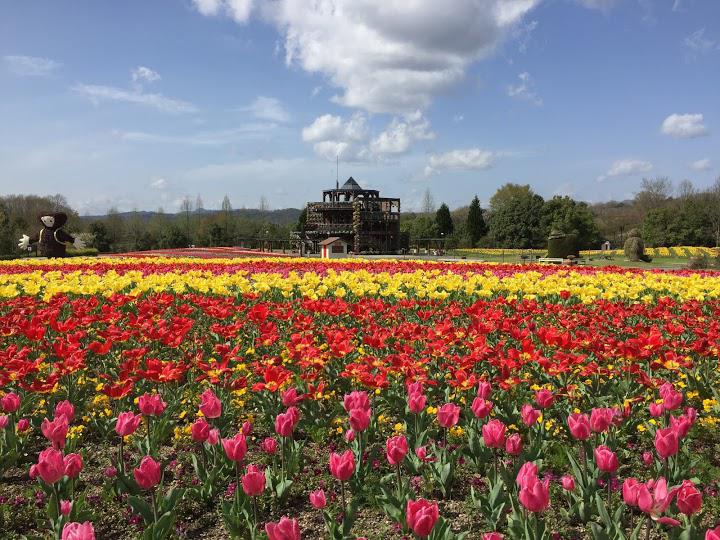 広島県 公園ランキングTOP10