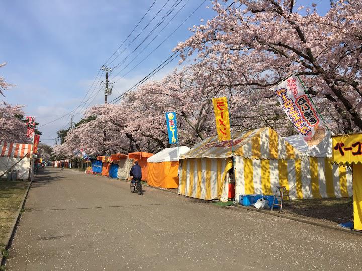 合浦海水浴場 - メイン写真: