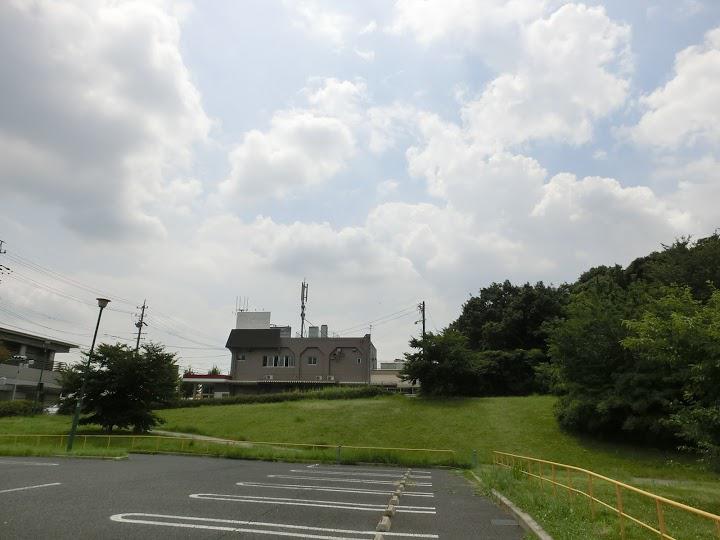 新海池公園 野球場 - メイン写真: