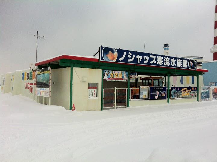 稚内市立ノシャップ寒流水族館 - メイン写真: