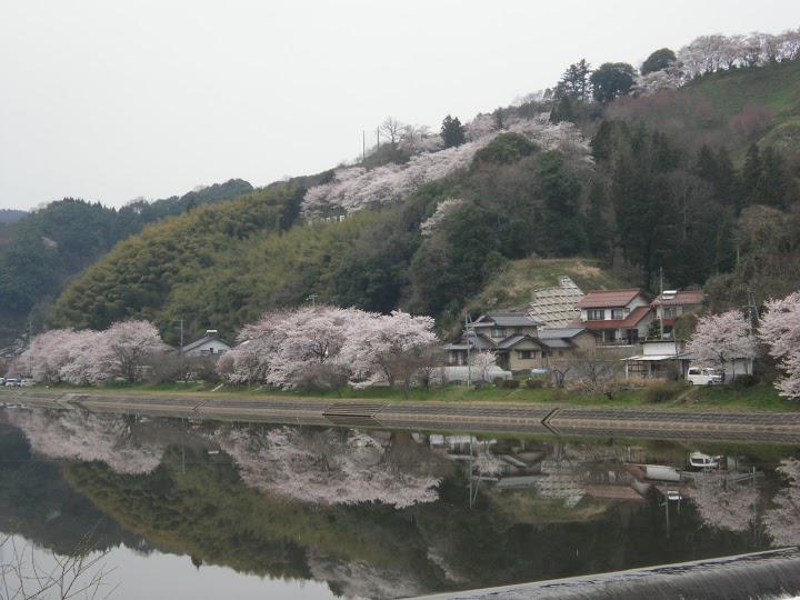 パソコン教室 なかやま - メイン写真: