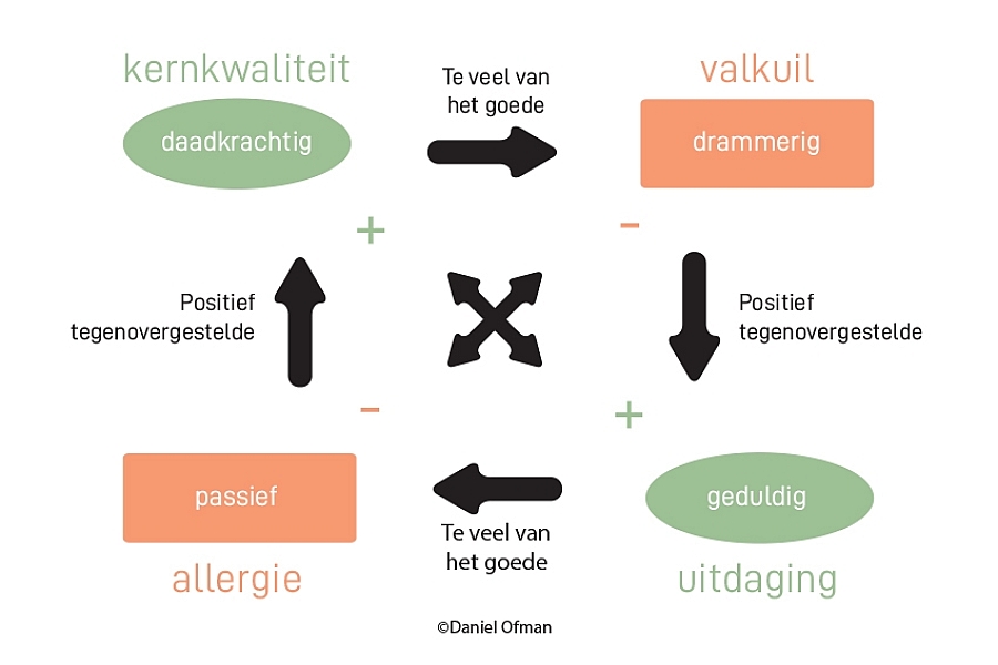 Dankzij het kernkwadrant van Daniel Ofman ontdek je wat je kernkwaliteit is, wat jouw valkuil is, waar je uitdaging ligt en wat jouw allergie is. Iemand die daadkrachtig riskeert in de valkuil te vallen van drammerigheid, heeft als uitdaging 'geduld' en is allergisch aan 'passiviteit'.