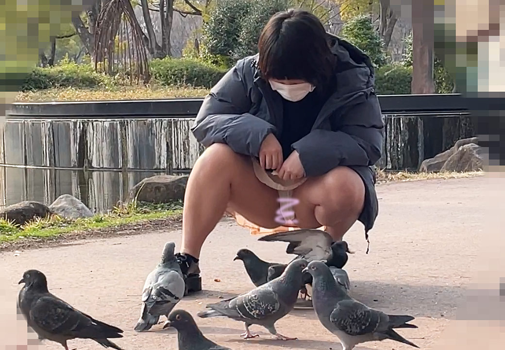 【パンチラ盗撮】幼さ残る女子のパンツと飛び立つ鳩。イチャつくカップルの餌やり一部始終 gallery photo 2