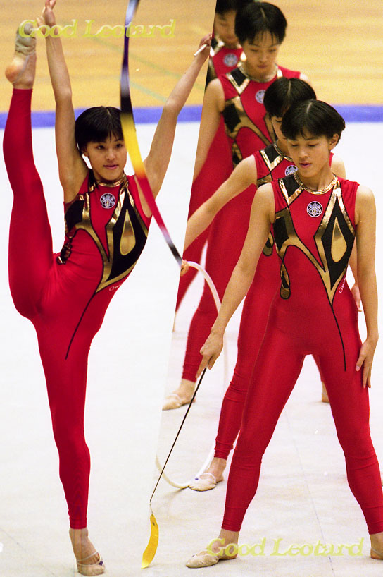 Good Leotard