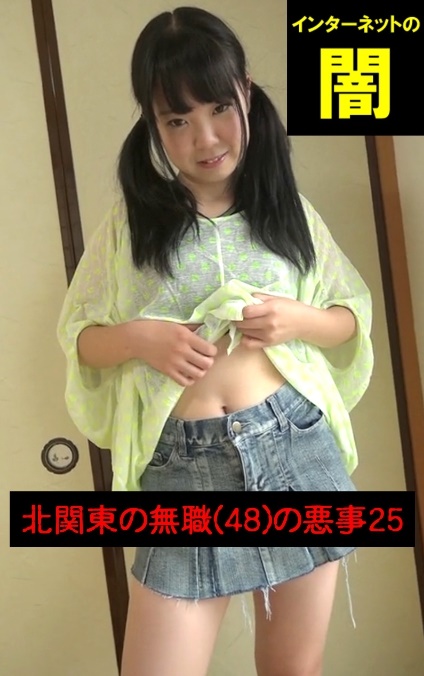 【ぷにふわ系ツインテールちゃん】～北関東の無職(48)の悪事25～インターネットの闇【電子写真集】